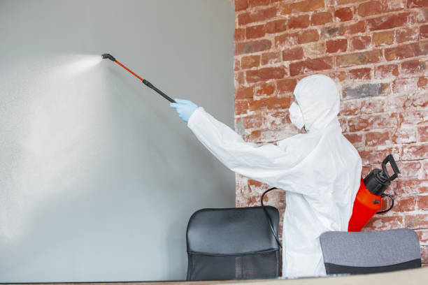 Best Mold-Related Health Consultation  in Mansfield, AR