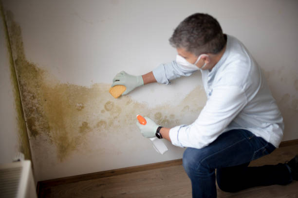 Best Air Quality Testing for Mold Spores  in Mansfield, AR