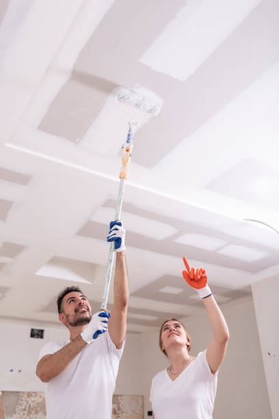 Best Mold Removal for HVAC Installations  in Mansfield, AR