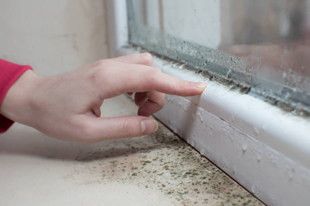 Best Air Quality Testing for Mold Spores  in Mansfield, AR