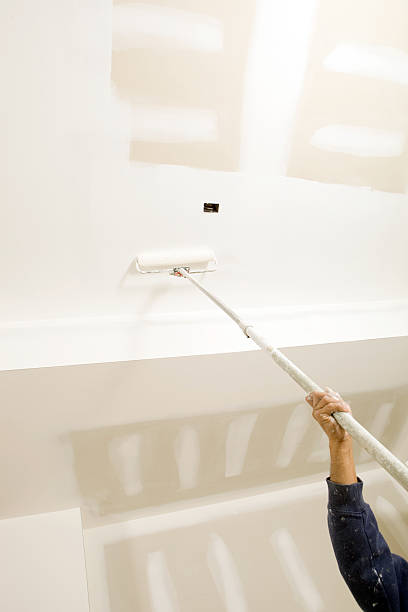 Best Mold Damage Restoration  in Mansfield, AR